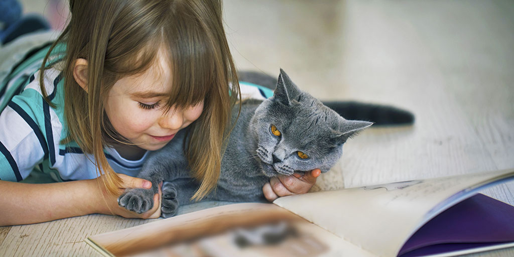 VicGovDE's tweet photo. Supporting your child's literacy at home is as easy as reading books, talking, listening to podcasts, writing stories, playing word games or telling a story. They can join the #PremiersReadingChallenge. See #LearningfromHome resources: https://t.co/q2qVElTDR5 https://t.co/0n8YyBVhgJ