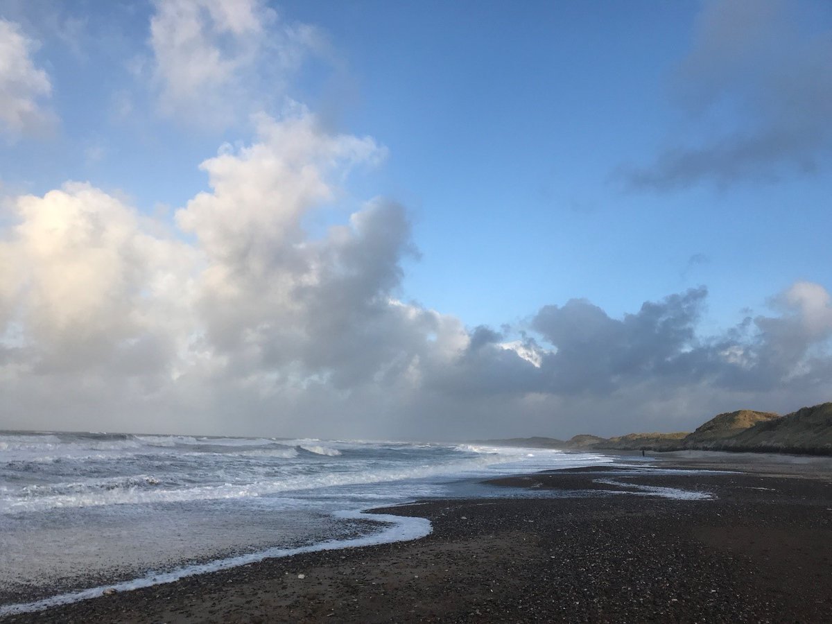 The Care for Life Project tweet media