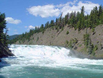richardrekhy's tweet photo. “Nothing in nature lives for itself.
Rivers don't drink their own water. Trees don't eat their own fruit.Sun doesn't give heat for itself. Flowers don't spread fragrance for themselves. Living for others is the norm of nature. “ Live  in the service of others and make an impact. https://t.co/8Kr0LVzPyH