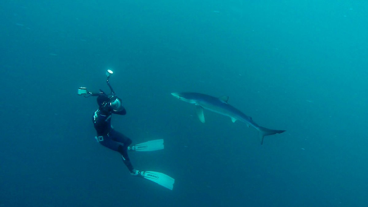 The Care for Life Project tweet media