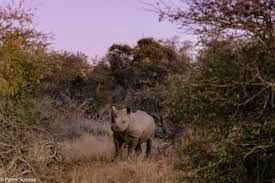 The Care for Life Project tweet media