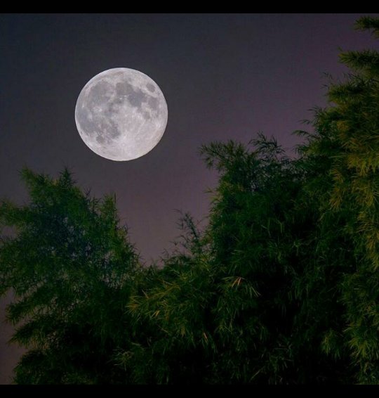 Ririndwiyantii3's tweet photo. Setiap ramadhan kita ingin mendapat ramadhan terbaik tetapi lupa melakukan yang terbaik di setiap bulan ramadhan. Berharap akan datangnya ramadhan tahun depan, tapi apa tahun ini juga gagal. Mau berapa ramadhan lagi?
Mari muhasabah diri dan lakukan yang terbaik.
#reminderme https://t.co/5bbeEc3DGy
