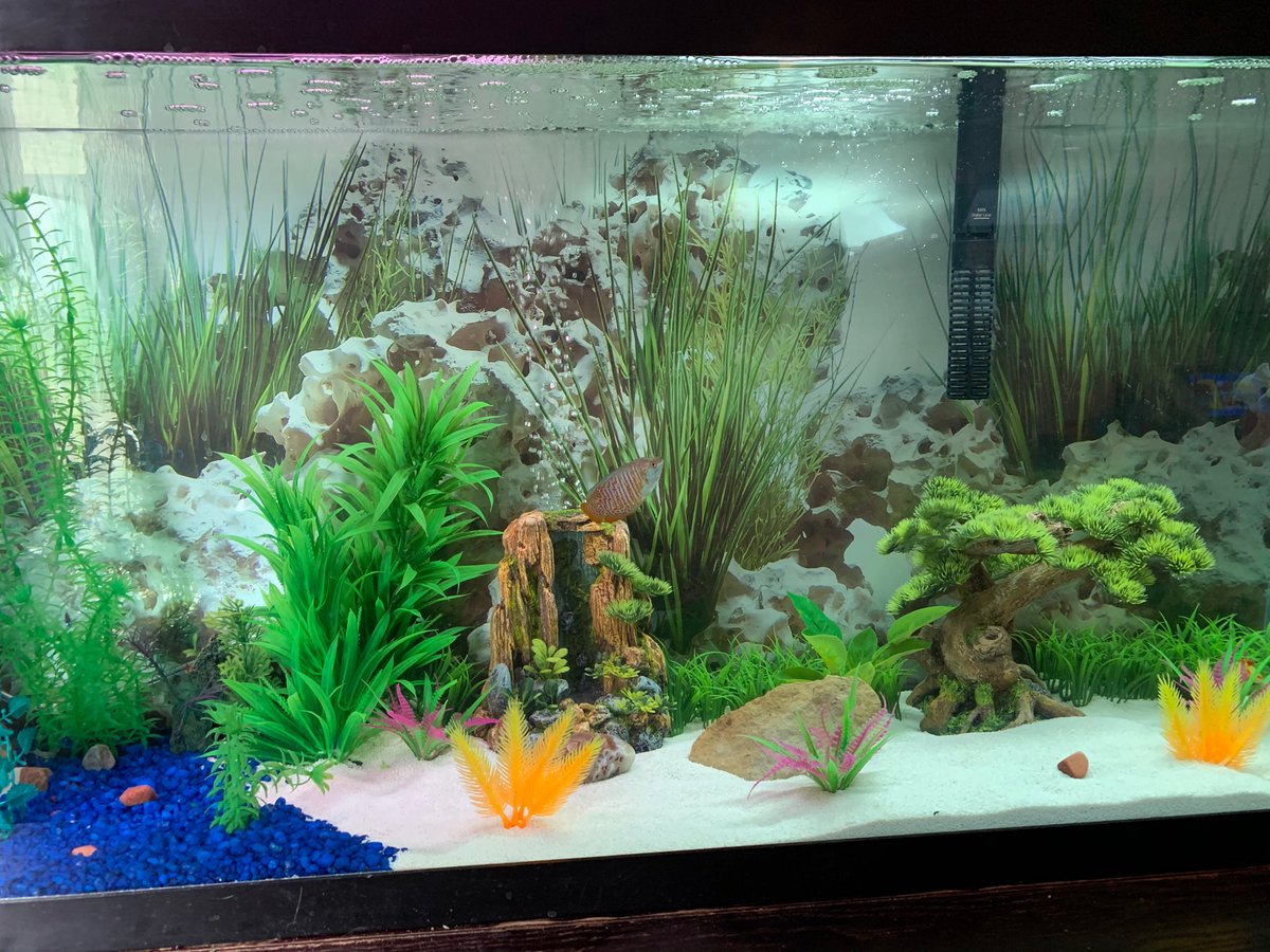 One of my projects during quarantine...... 
anyone want to share theirs? 
<a href="/Dab5_at420/">David</a> <a href="/captrwrpnts/">Alisha 🤘🧀✌️🌊</a>