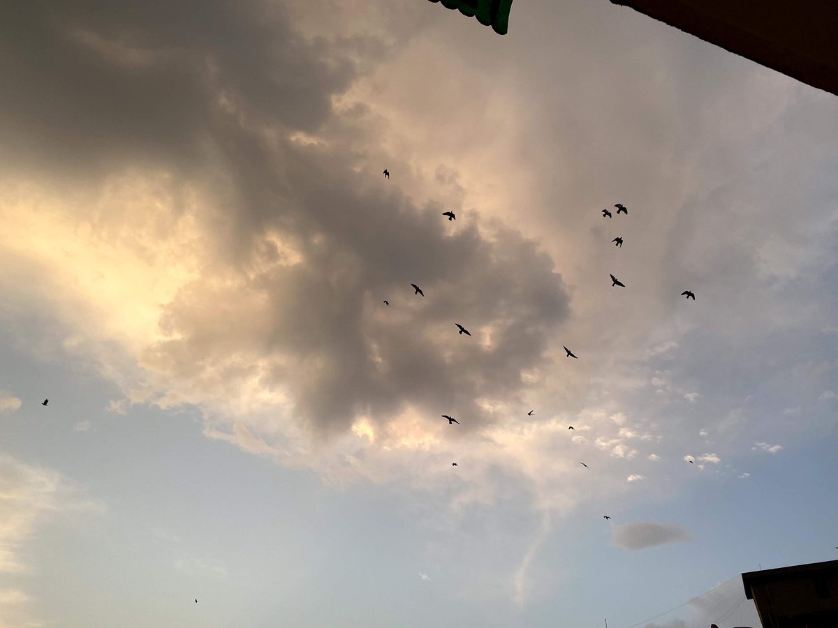 Kajal_AAI's tweet photo. #ahcharyathehypocrite #21dayslockdown #day20 #eyelens #delhimorning #silverrings #baba #earlyriser #birdsflight #shotiniphone #rawnature #naturalcolors #quickrevival #constantchange #staysafeπ #mybalconyview #loveforclouds #aanvikshiky #theathomeseries #thenimbusseries https://t.co/Tl6mttVC9H