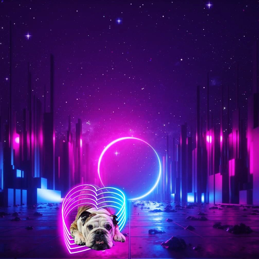 jesse_frye's tweet photo. Pixie is pure love https://t.co/oNatHyJ00q