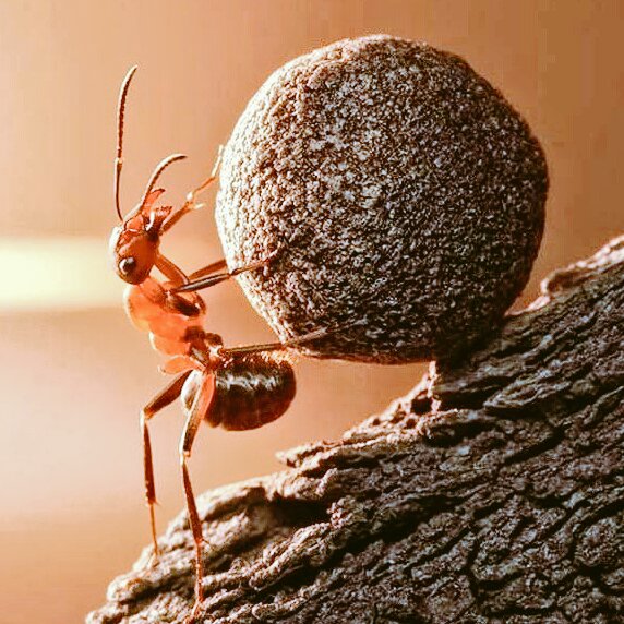 Ana_2002_anA's tweet photo. If you are afraid of doing great things
It is better to leave success to great people.

#FridayMotivation
#FrydayThoughts https://t.co/UIi0xDFIRd