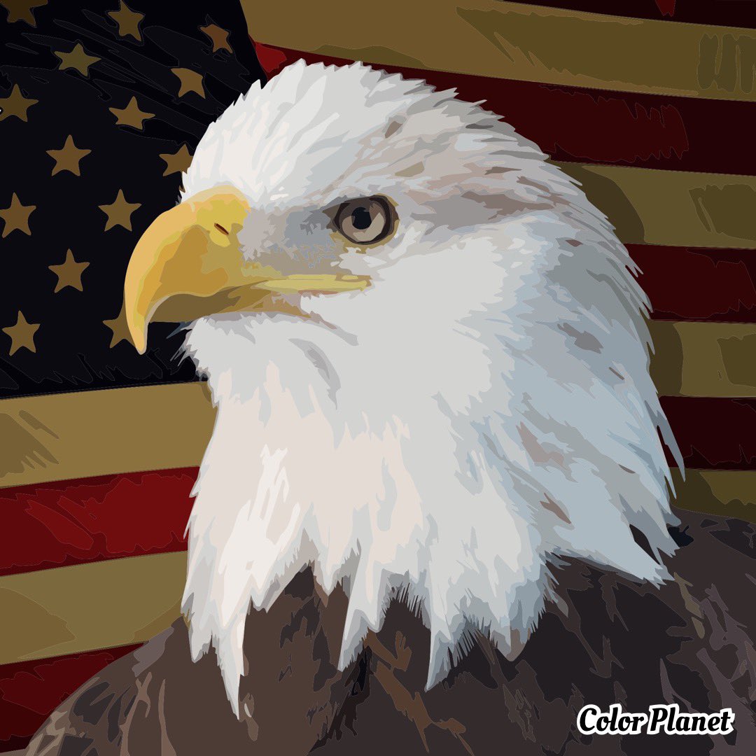 FedUpwDemsLIES's tweet photo. @TomFitton @gatewaypundit @RichardGrenell #AGBarr #JeffJensen @SidneyPowell1 and her team are the real Hero’s of Justice!! https://t.co/nQg9pPKijU