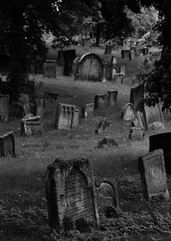 TicaProductions's tweet image. Follow me #Cinematic #VisualDirector