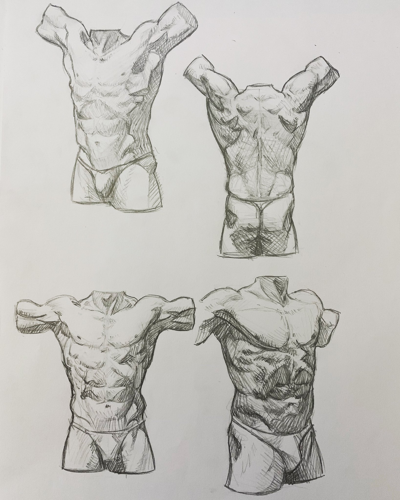 Human Anatomy Fundamentals Basic Body Proportions  Envato Tuts