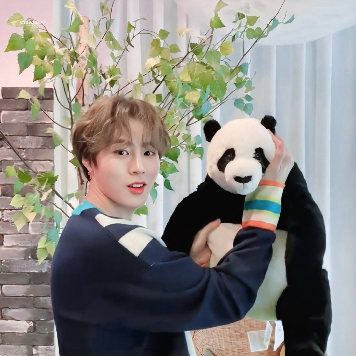 seng_strawberry's tweet photo. ㄱㅇㅇ💙
#하성운 #HASUNGWOON @gooreumseng https://t.co/JwN7sLMPTy