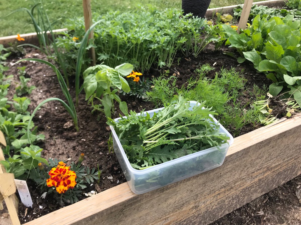 Gifted Feazel tweet media