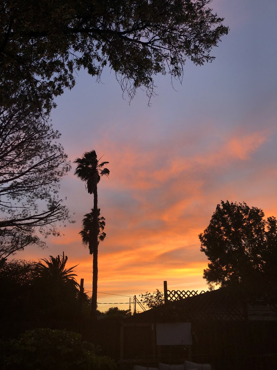 IAm_DYLN's tweet photo. Whiskey 🥃 on the rocks outside during the last hour of daylight is glorious. #CaliLyfe 🌞 🌴 https://t.co/E6eaP6hPJK
