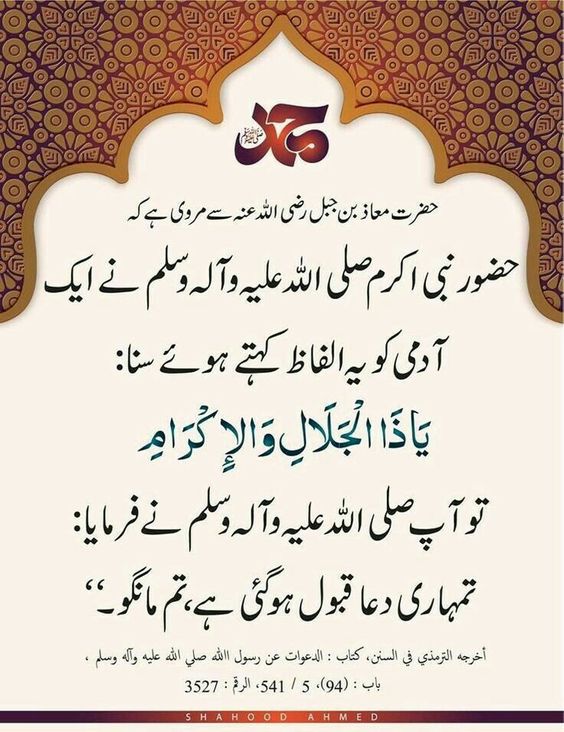HadiaOnline's tweet photo. #Learn #online #NoraniQaida, #Nazra #Quran ناظرۃ القرآن With #Tajweed Rules, #TafseerUlQuran, #HadeesCourse,
Masnoon #Duain, #Qoutes And #Islamic Masail.
Male & Female #LiveTutors are available 24/7.
Like, Share & Promote Our Page For More Islamic Posts.
#OnlineQuranAcademy https://t.co/4zDEhceARZ