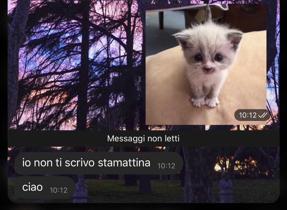 THE4TWOODS's tweet photo. la saga continua: https://t.co/PRv9nuDvPa