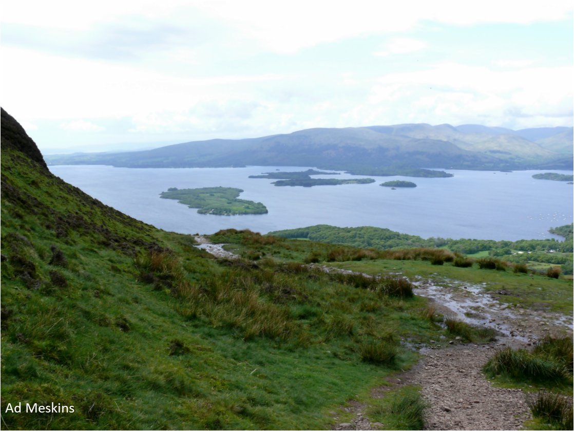 ‘Avalonia loves Laurentia, graffitied in the rocks.’ 

Alison Cohen, Highland Boundary Fault, Balmaha, 1st prize poetry #HughMillerWritingCompetition scottishgeology.com/hughmiller/