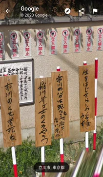 画像 / Picture
