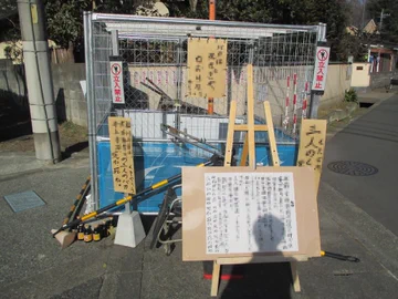 画像 / Picture