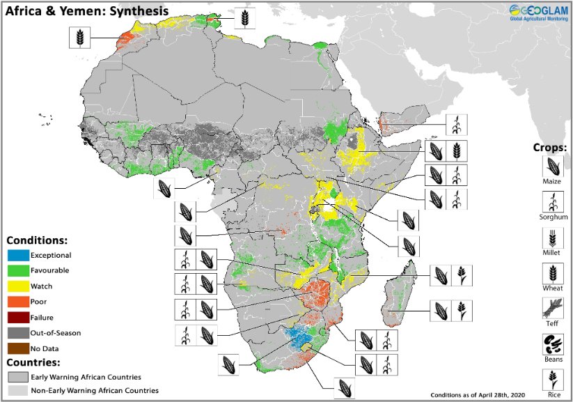 RCMRD_'s tweet photo. EAST AFRICA: Early onset &amp;above-average seasonal rains have been beneficial to planting activities for main season cereals across the south of the region but has further protracted the desert #LocustInvasion as well as caused widespread flooding across the region. https://t.co/WwMDrOA8yk