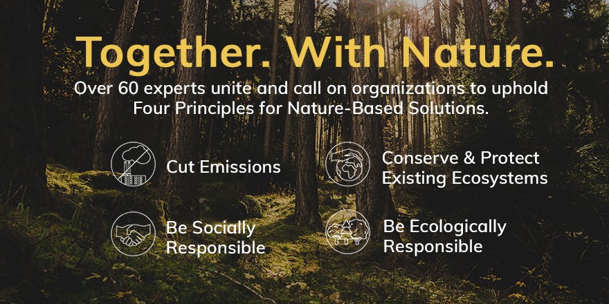 CrowtherLab's tweet photo. We couldn’t agree more. Restoration isn’t simple – we're here to help! We aim to guide scientifically-informed, responsible efforts in line with these Four Principles:
https://t.co/f6LMxX4gTP
#TogetherWithNature #NatureBasedSolutions #4Principles4NBS https://t.co/704gN6SuLm