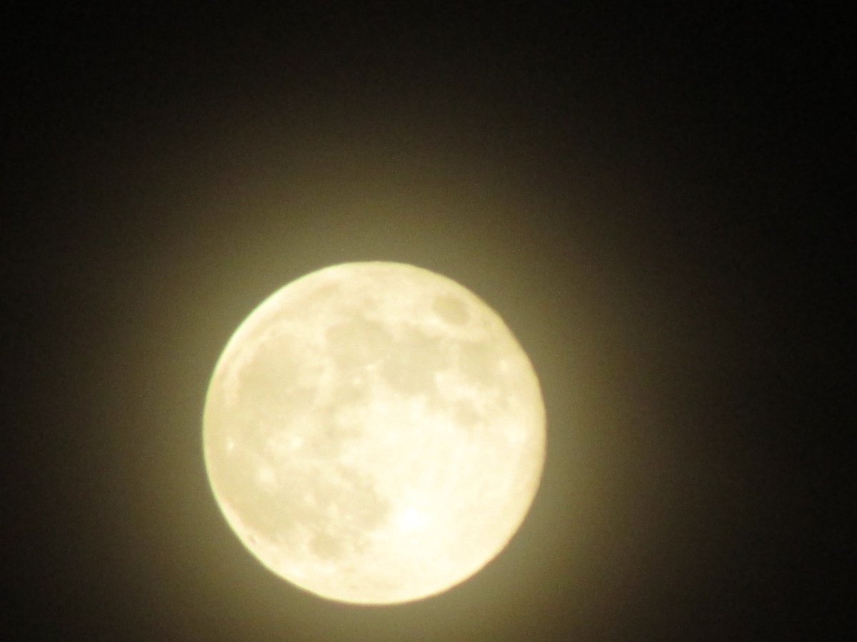 Amazing moon last night