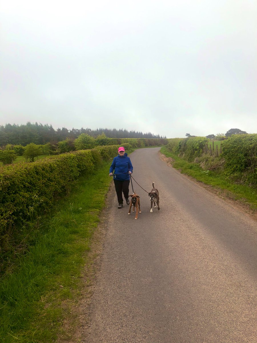 cathyjamieson's tweet photo. That’s my 5 miles done this morning for @thewhynottrust Looking forward to seeing photos from @CVResidential @CVFostering #walkdownthelockdown https://t.co/xq0eDzzARW