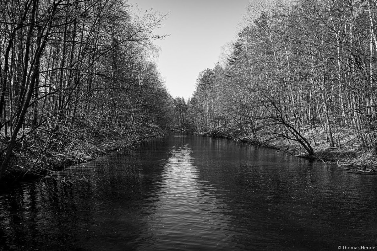 HendelThomas's tweet photo. Paddler's Paradise.
Series "Lake Stechlinsee in Black and White".
#photography #photographer #photooftheday #blackandwhite #landscape #stechlinsee #Brandenburg https://t.co/8TH8RF9GtN