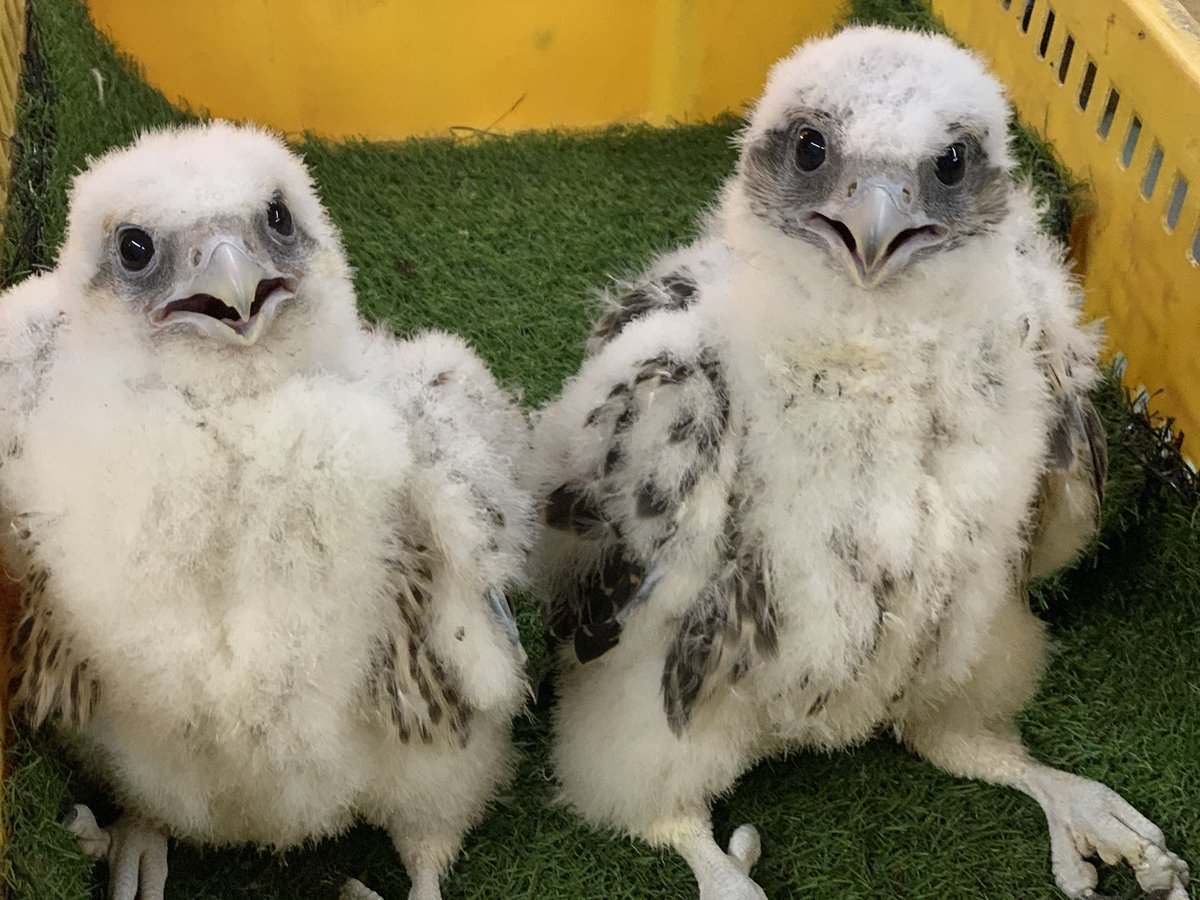 #ジアセイカー
ホワイトタイプ
価格60万税別
いまなら選べます。