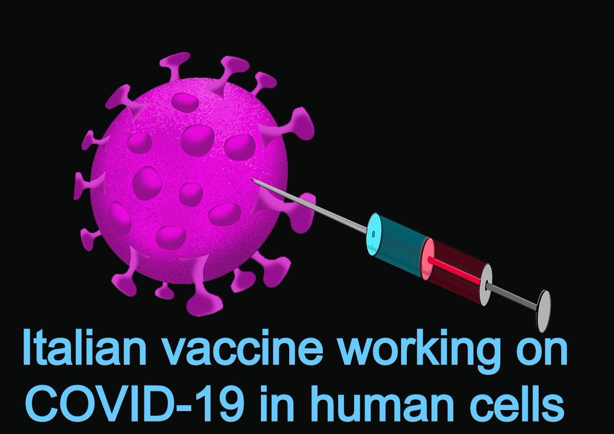 pharmatutor's tweet photo. Italian vaccine working on #COVID19 in human cells : Researchers #PharmaTutor
Find at https://t.co/7iVIdbSXGh https://t.co/NTjHdNLTm1