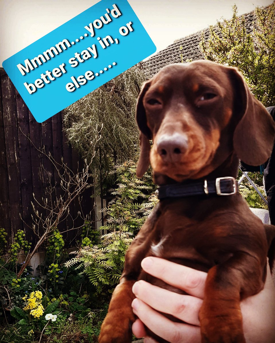 Antiques Fairs tweet media