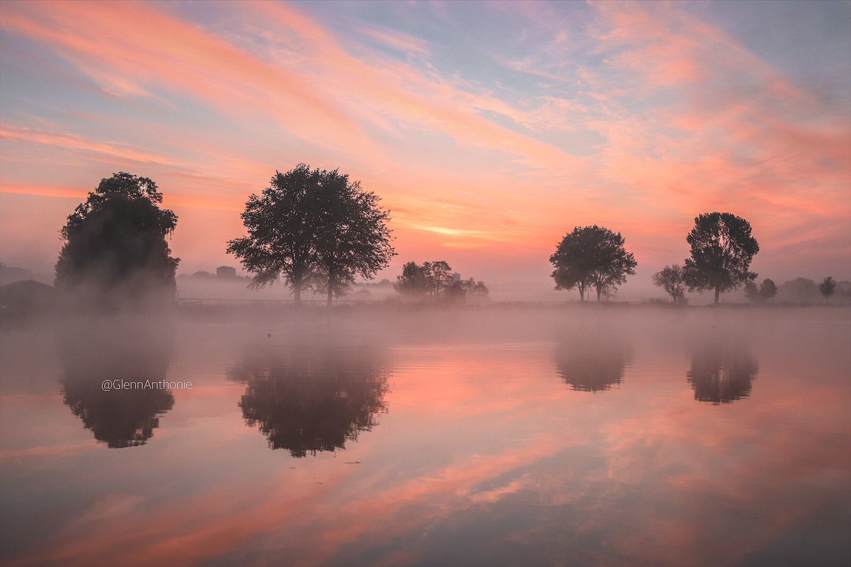 GlennAnthonie tweet media