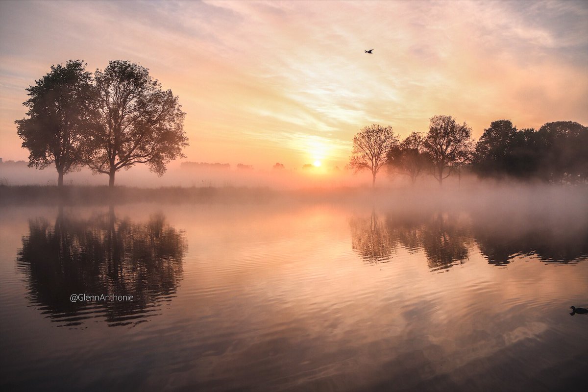 GlennAnthonie tweet media