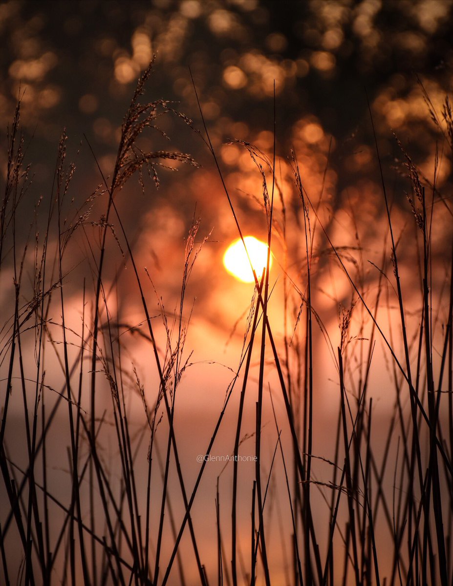 GlennAnthonie tweet media