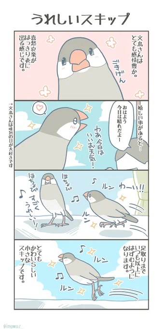 うれしい時のちいさなスキップ。

#buncho #javasparrow #文鳥 