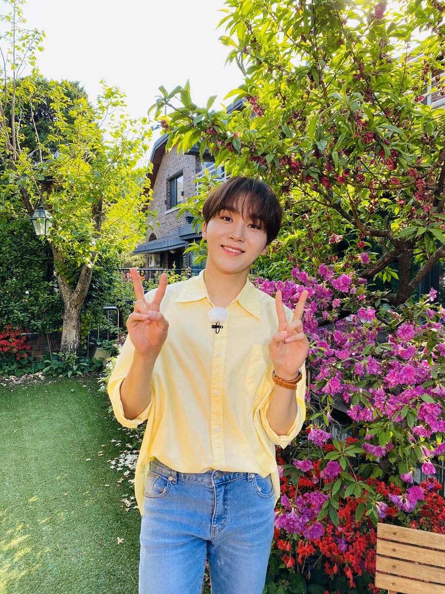 세븐틴(SEVENTEEN) tweet media