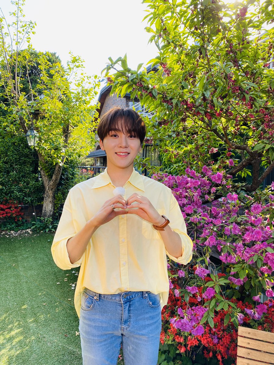 세븐틴(SEVENTEEN) tweet media