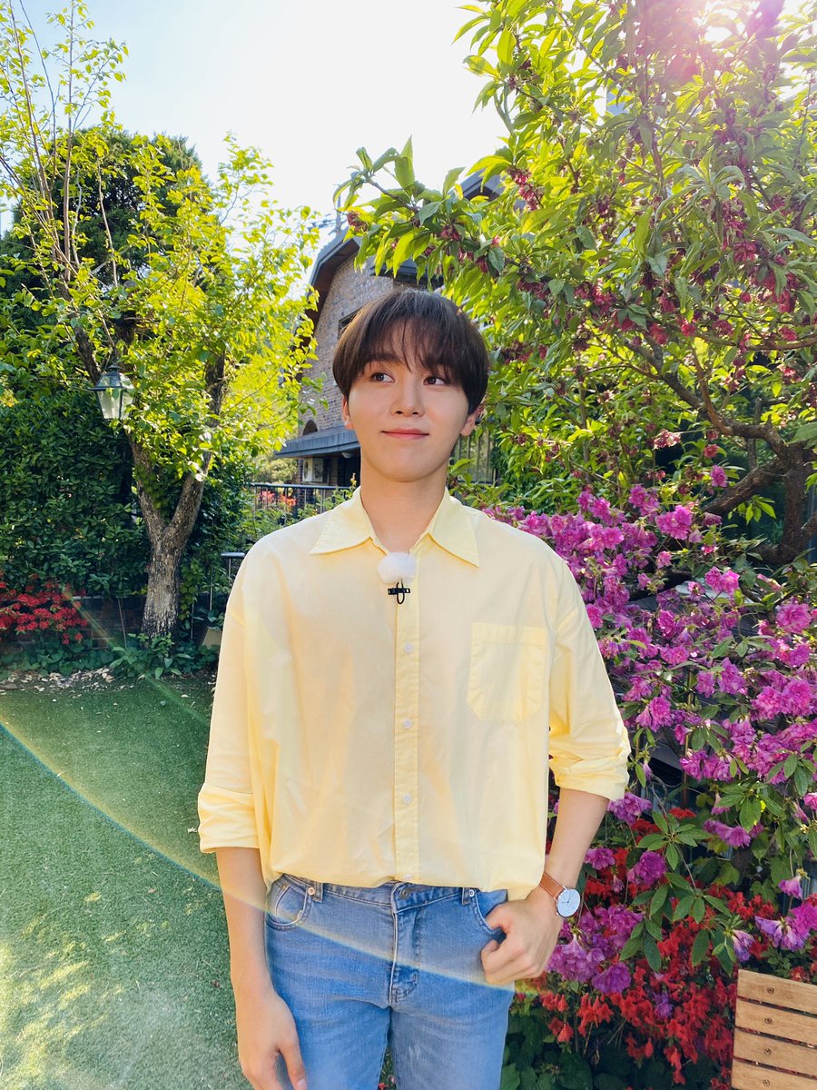 세븐틴(SEVENTEEN) tweet media