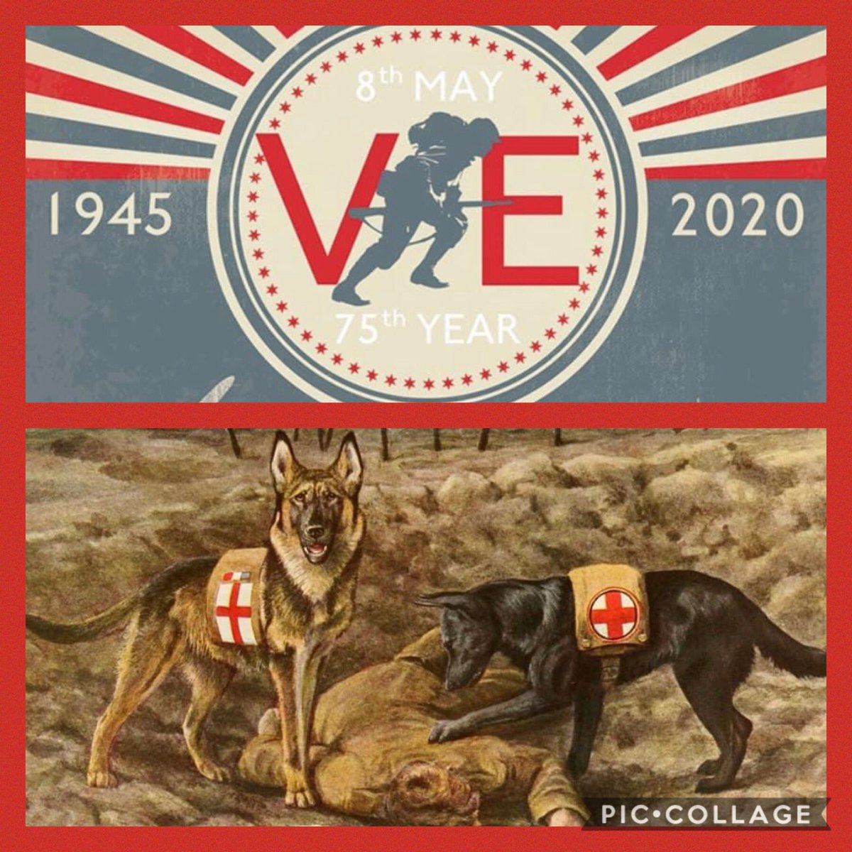 National K9 Memorial tweet media