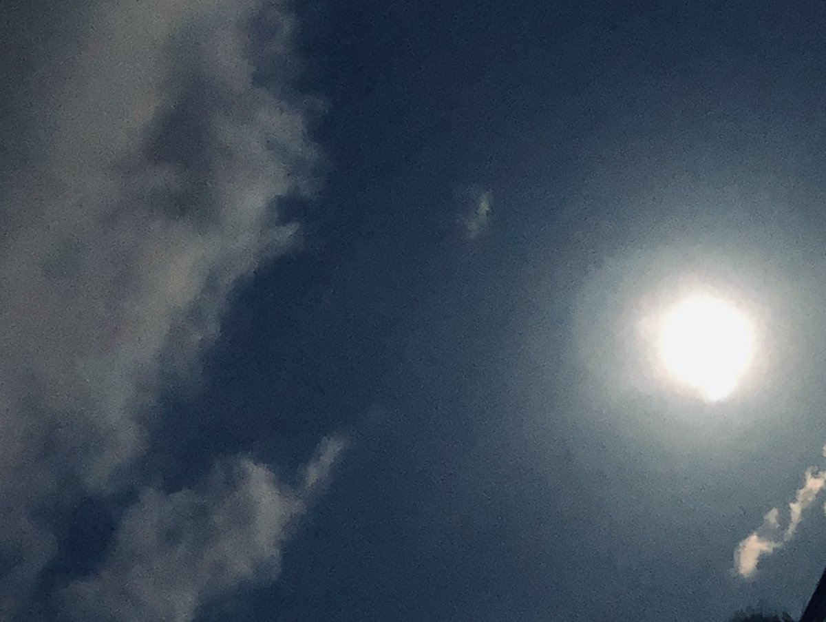 starnaminggift's tweet photo. 昨晩の満月は、眩しいくらいの輝きでした✨
日本では5月の月を、田植えをする月、早苗月を皐月（さつき）呼びますが、西洋では、花が咲き誇る頃🌸の月ということでフラワームーンと呼ばれます。春を感じながら満月を見ている時の流れはとても豊かさを感じますね🥰
#StarNamingGift #FlowerMoon https://t.co/RkQId4pAu5