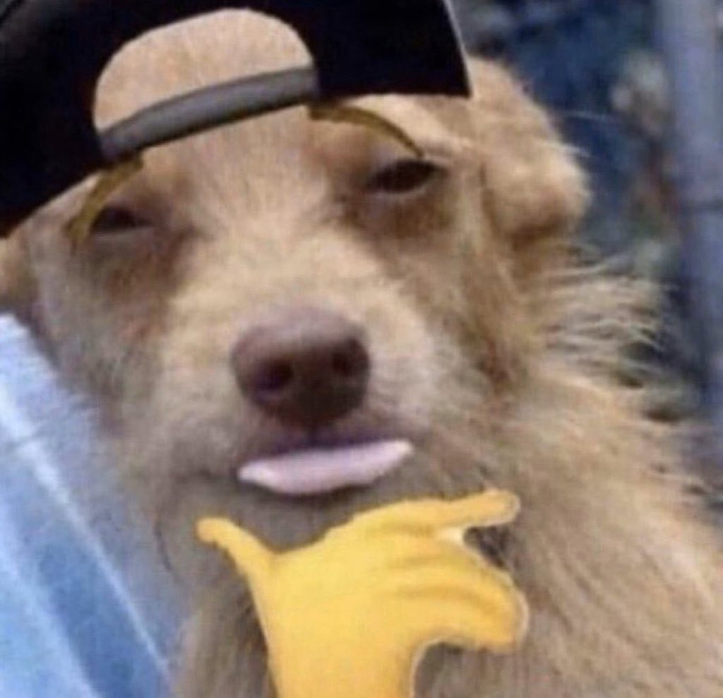 me: *prepping food*
my pup: wass6p