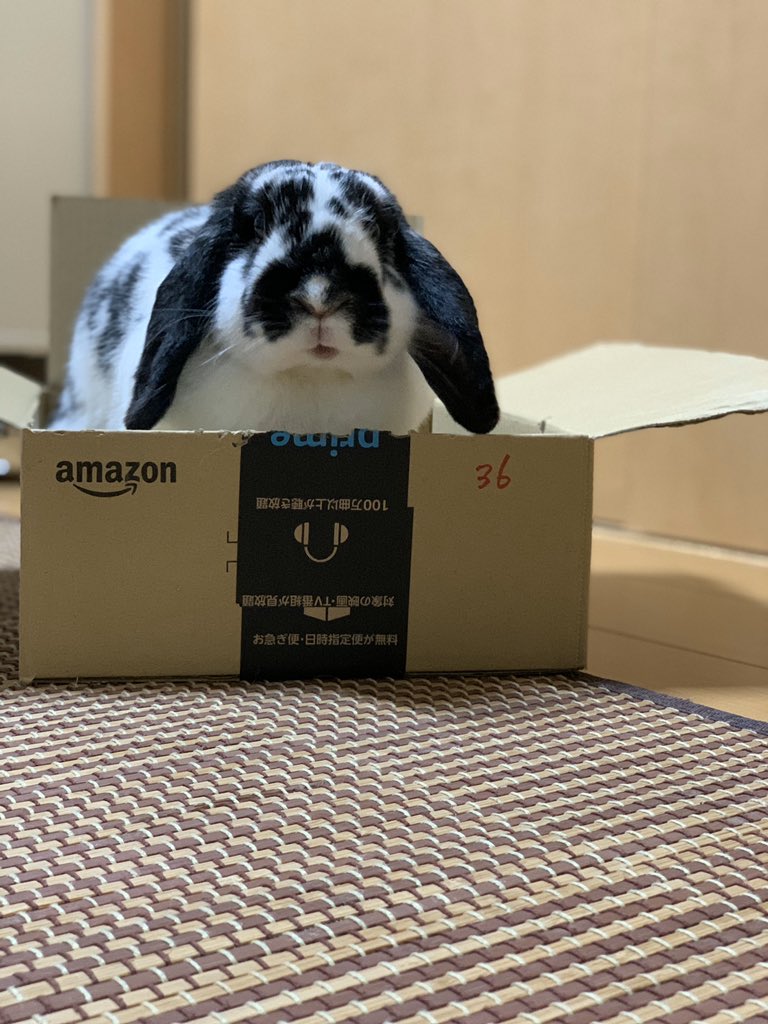 Amazonから素敵な贈り物が届きました。