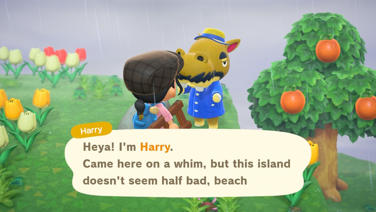 ItsOhdee's tweet photo. Me, beaming with optimism: I have 30 nook mile tickets, I'll find a cute wolf villager! for sure! #AnimalCrossing #ACNH #NintendoSwitch https://t.co/tnzpHi7Hmi