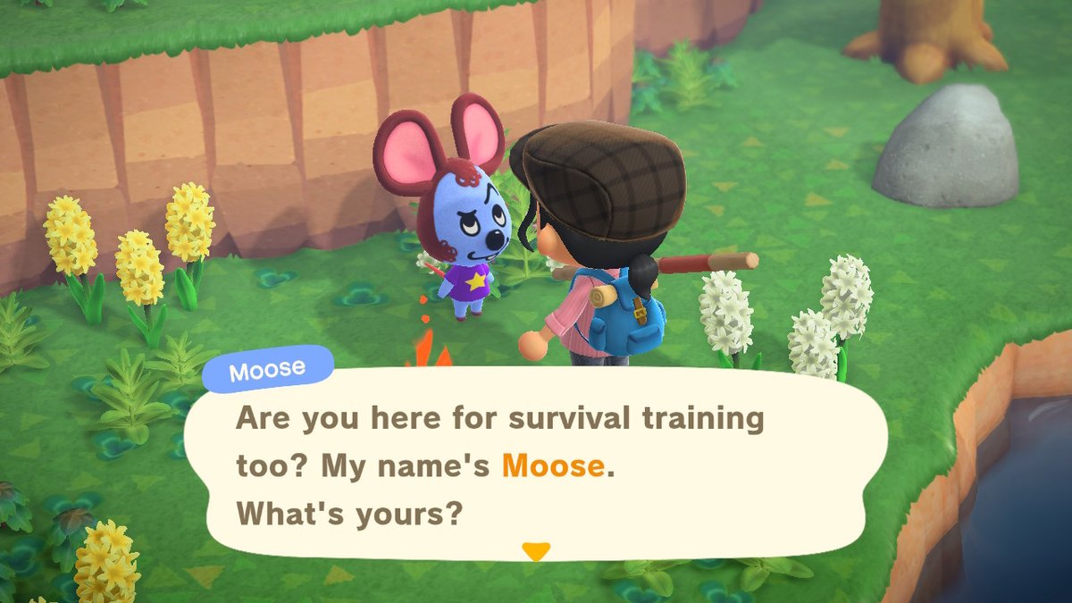 ItsOhdee's tweet photo. Me, beaming with optimism: I have 30 nook mile tickets, I'll find a cute wolf villager! for sure! #AnimalCrossing #ACNH #NintendoSwitch https://t.co/tnzpHi7Hmi