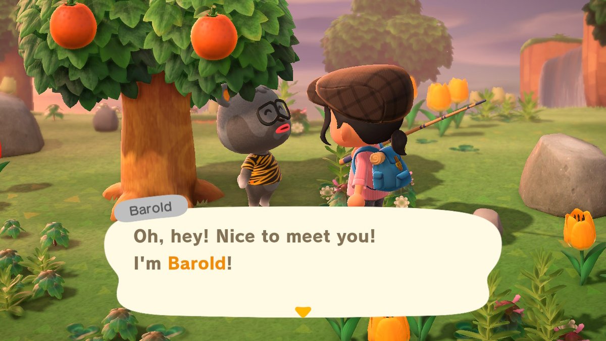 ItsOhdee's tweet photo. Me, beaming with optimism: I have 30 nook mile tickets, I'll find a cute wolf villager! for sure! #AnimalCrossing #ACNH #NintendoSwitch https://t.co/tnzpHi7Hmi