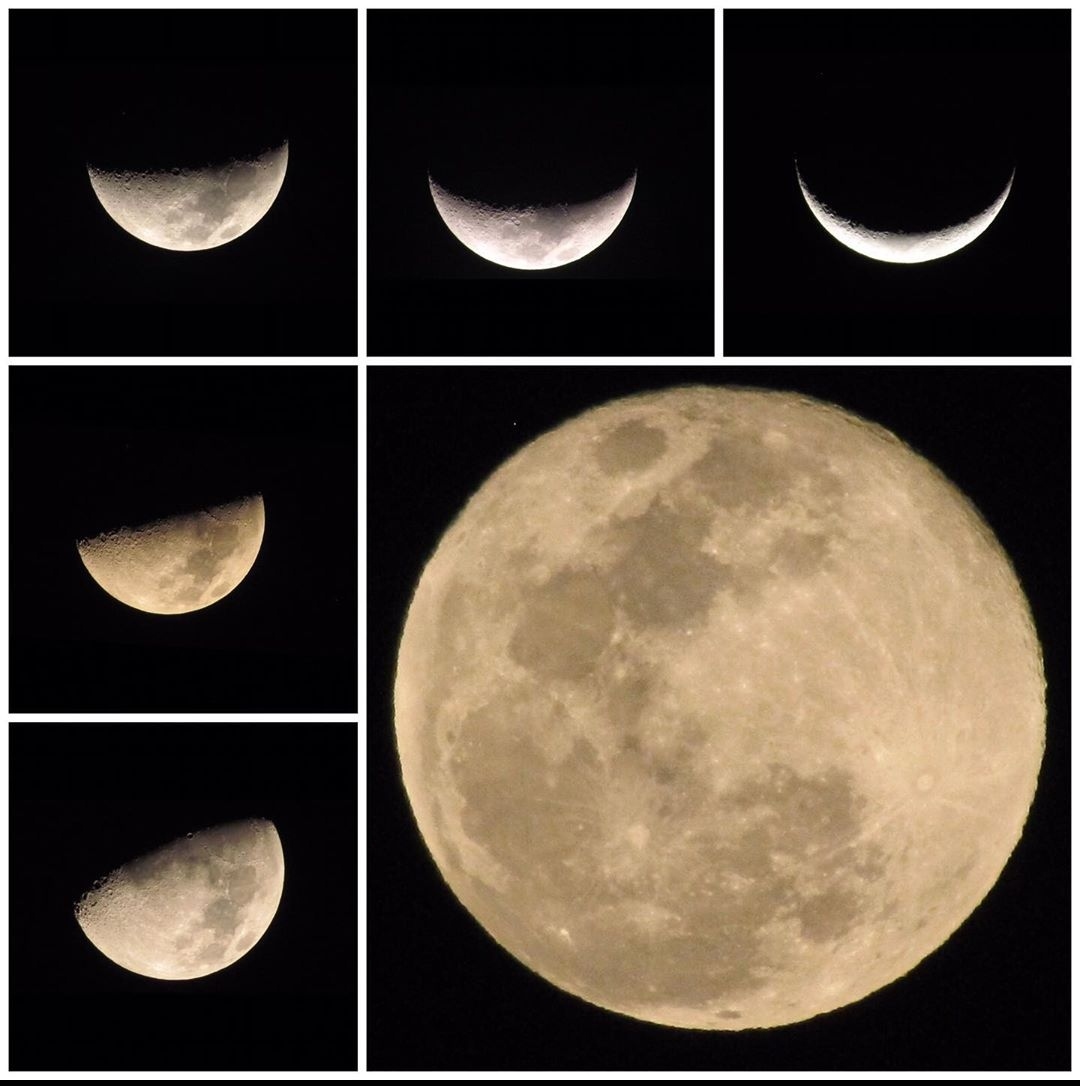 George Wittels (@georgewittels) on Twitter photo 