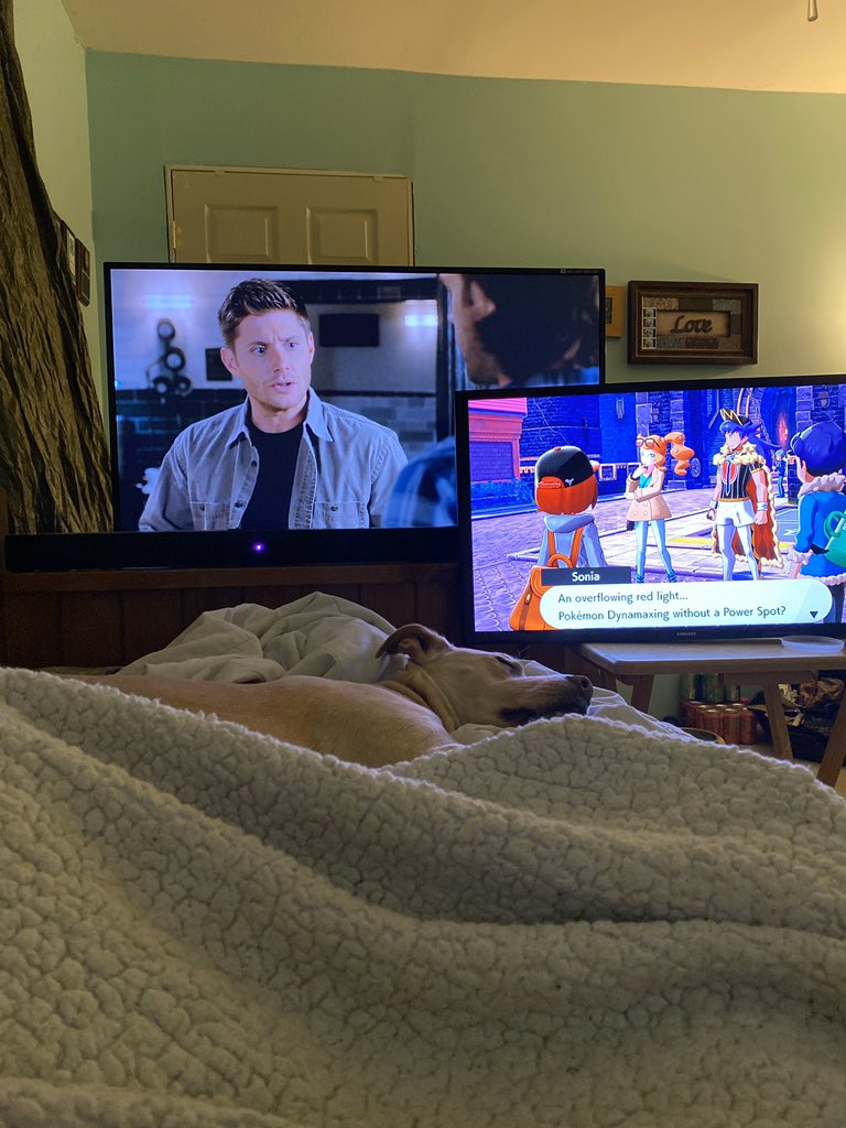 Kendal Cowgill tweet media