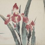 main image of this resource