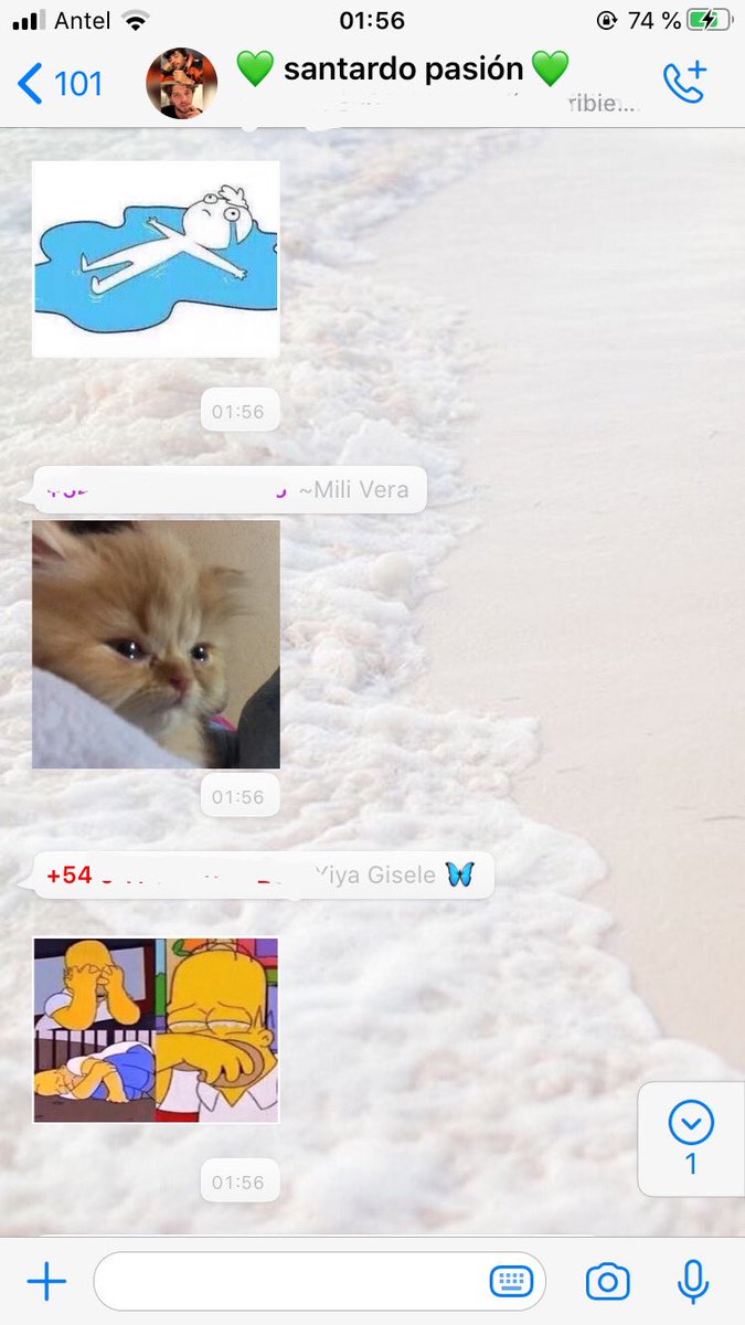 clara🌱 tweet media