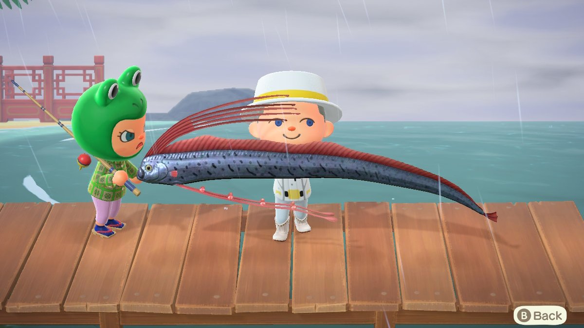 ferggerman's tweet image. #AnimalCrossing #ACNH #NintendoSwitch