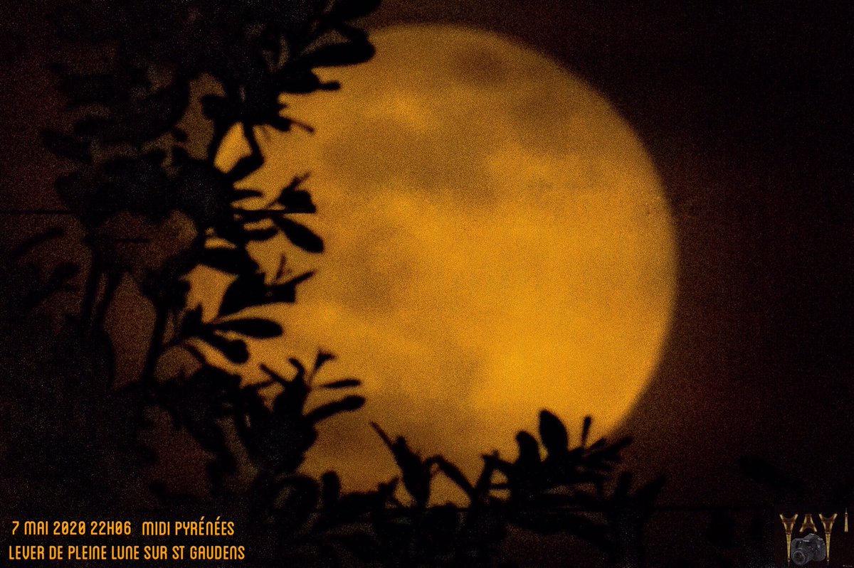 reivaxstgo31's tweet photo. #FFFriday #confinementjour55 cette nuit et hier soir #pleinelune très légèrement voilée et #leverdelune nuageux sur #SaintGaudens #midipyrénées #comminges @HauteGaronne @Occitanie @laGazetteduCges @Pireneus_Radio @Meteo_Pyrenees bonne journée à tous et bon WE confiné 😉 https://t.co/2wqSdw1srN