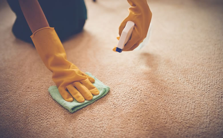 How to Keep your #Carpet #Clean when you have Pets. Learn here how you can do #carpetcleaning from the mess your pets create.

Link: thesituation.com.au/how-to-keep-yo…